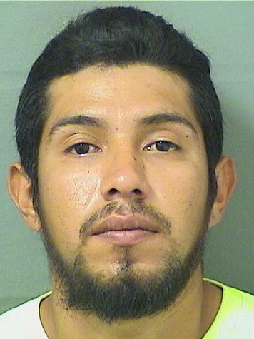  MIGUEL ALBERTO FLORESPEREZ Results from Palm Beach County Florida for  MIGUEL ALBERTO FLORESPEREZ
