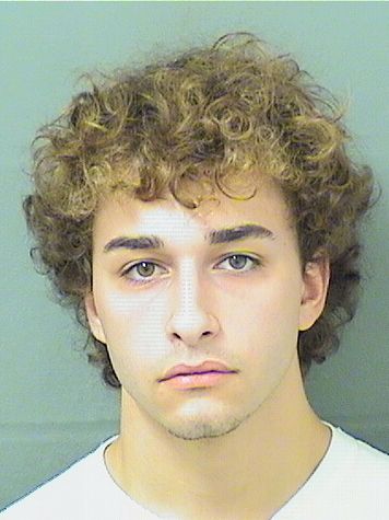  VINCENT ALLEN CICCIARELLI Results from Palm Beach County Florida for  VINCENT ALLEN CICCIARELLI