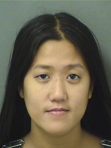  DAISY SMITANANDA Results from Palm Beach County Florida for  DAISY SMITANANDA