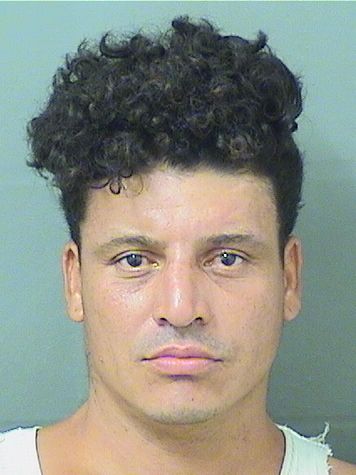  RONY ADALBERTO RODRIGUEZ Results from Palm Beach County Florida for  RONY ADALBERTO RODRIGUEZ