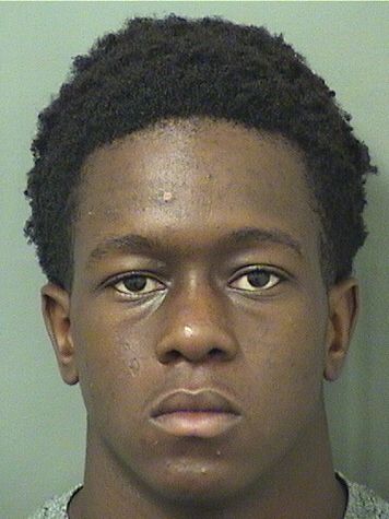  NELSON VIL Results from Palm Beach County Florida for  NELSON VIL