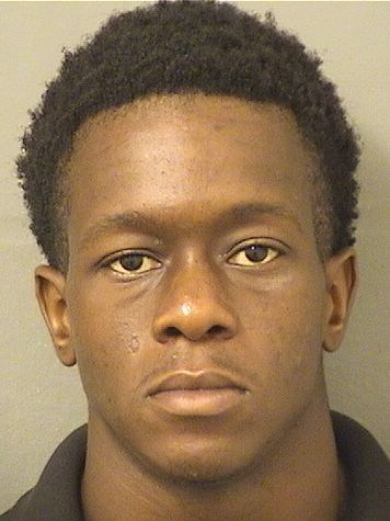  NELSON VIL Results from Palm Beach County Florida for  NELSON VIL