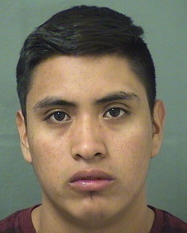  NATANEL BAIL Results from Palm Beach County Florida for  NATANEL BAIL