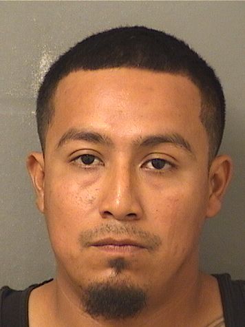  AVELINO GOMEZ Results from Palm Beach County Florida for  AVELINO GOMEZ