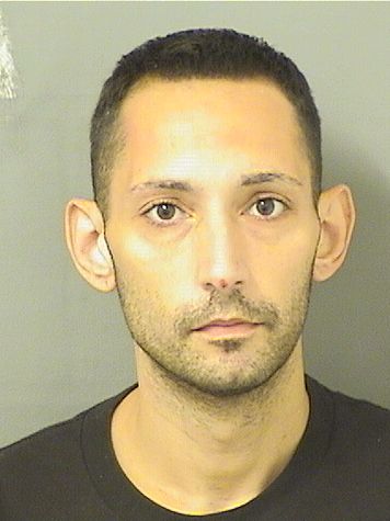 NATHAN DAVID TOLAND Results from Palm Beach County Florida for  NATHAN DAVID TOLAND