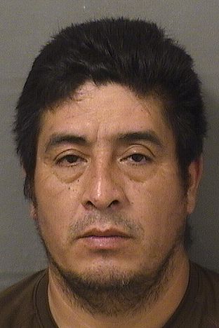  DOMINGO PEREZCARIAS Results from Palm Beach County Florida for  DOMINGO PEREZCARIAS