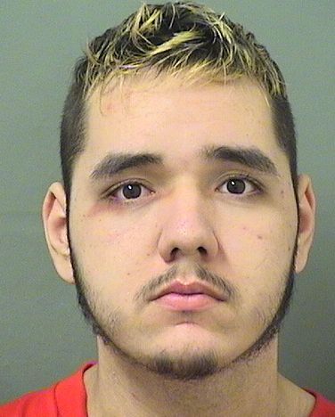 GREGORY ALEXANDER LLOYD Results from Palm Beach County Florida for GREGORY ALEXANDER LLOYD GREGORY ALEXANDER LLOYD Results from Palm Beach County Florida for GREGORY ALEXANDER LLOYD