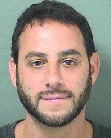  MICHAEL RUBEL Results from Palm Beach County Florida for  MICHAEL RUBEL