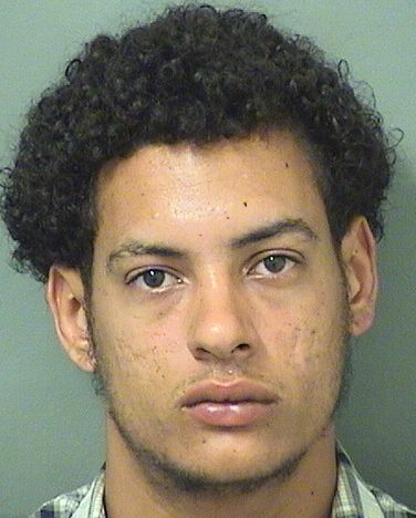  CHRISTOPHER CARLOS MELENDEZ Results from Palm Beach County Florida for  CHRISTOPHER CARLOS MELENDEZ
