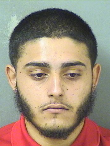  MICHAEL HERNANDEZ Results from Palm Beach County Florida for  MICHAEL HERNANDEZ