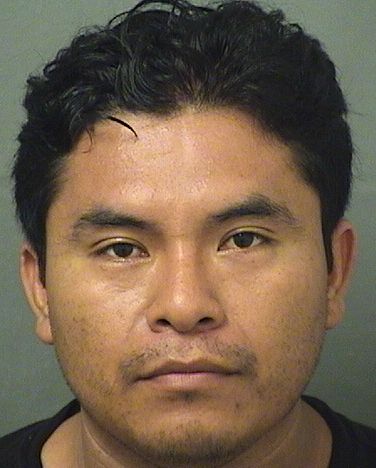  FREDY GIOVANNI AGUSTINMENDEZ Results from Palm Beach County Florida for  FREDY GIOVANNI AGUSTINMENDEZ