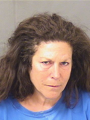  ROBIN LYN PLINTO Results from Palm Beach County Florida for  ROBIN LYN PLINTO