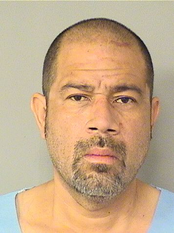  CESAR A CISNEROS Results from Palm Beach County Florida for  CESAR A CISNEROS