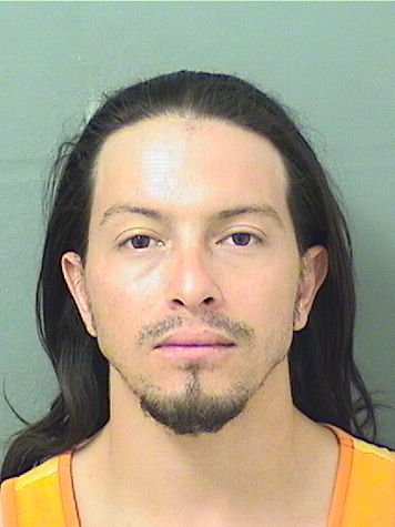  YERLYN N MOLINAAVILA Results from Palm Beach County Florida for  YERLYN N MOLINAAVILA