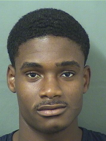  HENOC LOUIS Results from Palm Beach County Florida for  HENOC LOUIS