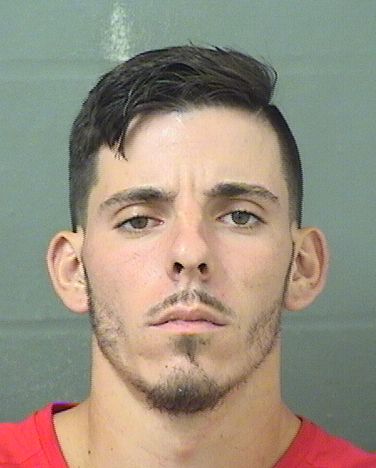  MICHAEL LORENZO MILITO Results from Palm Beach County Florida for  MICHAEL LORENZO MILITO