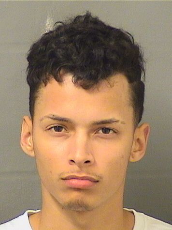  CHRISTIAN J GONZALEZDIAZ Results from Palm Beach County Florida for  CHRISTIAN J GONZALEZDIAZ