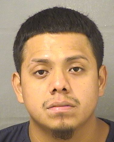  ROBERTO JESUS PALMA GARCIA Results from Palm Beach County Florida for  ROBERTO JESUS PALMA GARCIA