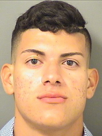  ALEX DANILO DIAZ Resultados de la busqueda para Palm Beach County Florida para  ALEX DANILO DIAZ