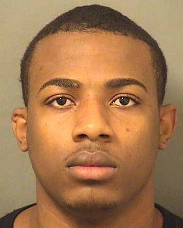  JOVANY MICHEL Results from Palm Beach County Florida for  JOVANY MICHEL
