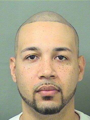  JOSE ALEX YNFANTE Results from Palm Beach County Florida for  JOSE ALEX YNFANTE