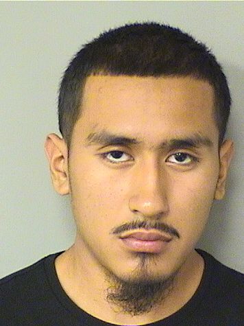  DANIEL RICARDO GUZMAN Results from Palm Beach County Florida for  DANIEL RICARDO GUZMAN