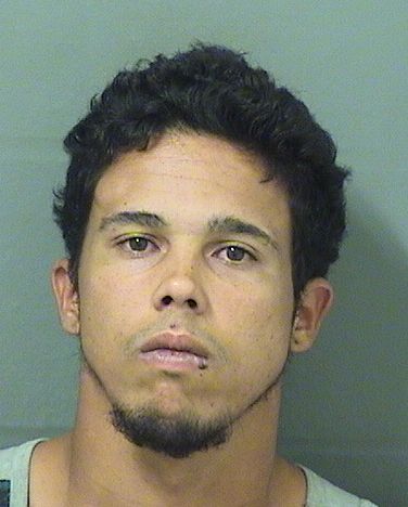  CHRISTIAN OMAR ROSARIO LOPEZ Results from Palm Beach County Florida for  CHRISTIAN OMAR ROSARIO LOPEZ