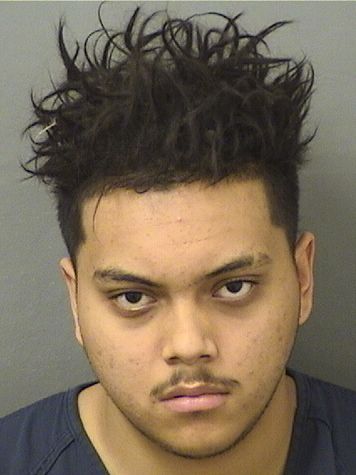  SEAN NICHOLAS SAHADEO Resultados de la busqueda para Palm Beach County Florida para  SEAN NICHOLAS SAHADEO