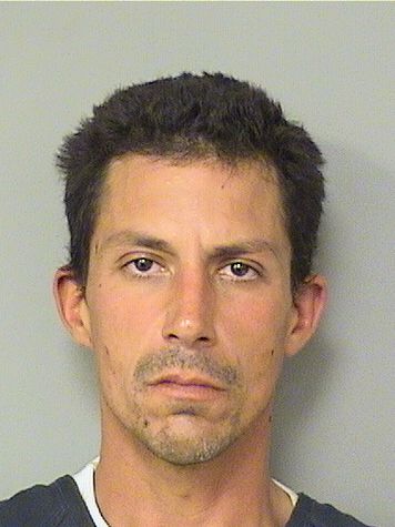 CARLO PUCCIO Results from Palm Beach County Florida for CARLO PUCCIO CARLO PUCCIO Results from Palm Beach County Florida for CARLO PUCCIO