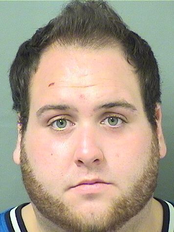  ANDREW JAMES LOMBARDI Results from Palm Beach County Florida for  ANDREW JAMES LOMBARDI