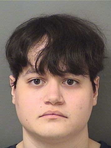  ANDREW MELENDEZ GONZALEZ Results from Palm Beach County Florida for  ANDREW MELENDEZ GONZALEZ