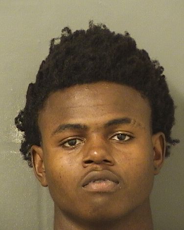  DERRICK E PEOPLES Results from Palm Beach County Florida for  DERRICK E PEOPLES