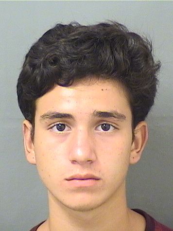  DANIEL ANDRES DUGAN Results from Palm Beach County Florida for  DANIEL ANDRES DUGAN