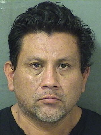  JORGE GONZALEZ Resultados de la busqueda para Palm Beach County Florida para  JORGE GONZALEZ