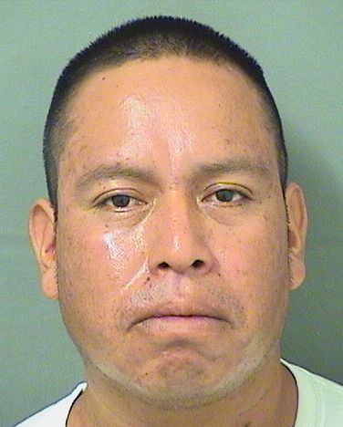 LUIS MODESTO TAMBRIZMACARIO Results from Palm Beach County Florida for LUIS MODESTO TAMBRIZMACARIO LUIS MODESTO TAMBRIZMACARIO Results from Palm Beach County Florida for LUIS MODESTO TAMBRIZMACARIO