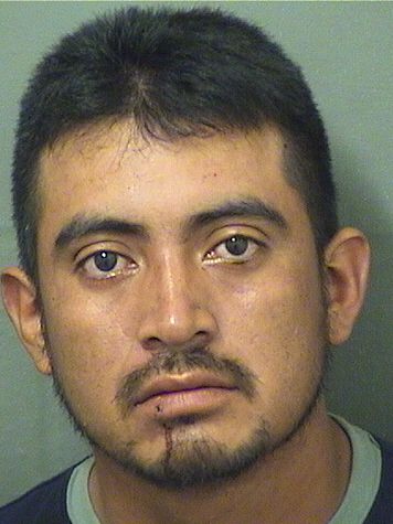 EMIGIDIO N LOPEZPEREZ Results from Palm Beach County Florida for EMIGIDIO N LOPEZPEREZ EMIGIDIO N LOPEZPEREZ Results from Palm Beach County Florida for EMIGIDIO N LOPEZPEREZ