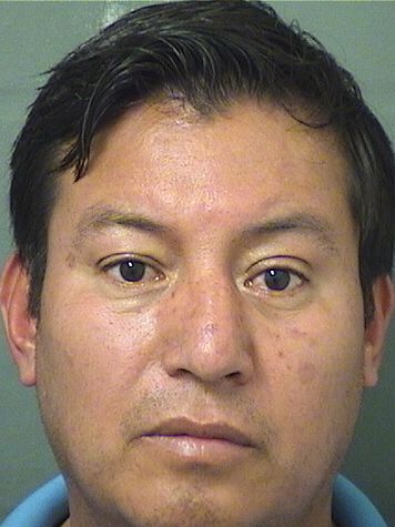 JULIAN VICTORINO TOMAS-LOPEZ Results from Palm Beach County Florida for  JULIAN VICTORINO TOMAS-LOPEZ