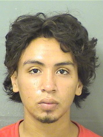  DENIS FERNANDO FIALLOSORELLANA Results from Palm Beach County Florida for  DENIS FERNANDO FIALLOSORELLANA