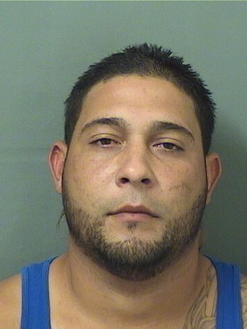  WILMER PEREZHERNANDEZ Results from Palm Beach County Florida for  WILMER PEREZHERNANDEZ