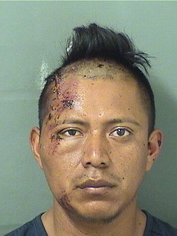  AURELIO LOPEZ Resultados de la busqueda para Palm Beach County Florida para  AURELIO LOPEZ