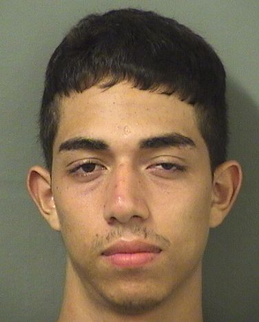  JULIO VALLECILLO Results from Palm Beach County Florida for  JULIO VALLECILLO