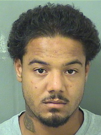  NELSON JOSVANIRAY HERNANDEZ Results from Palm Beach County Florida for  NELSON JOSVANIRAY HERNANDEZ