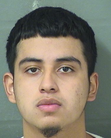  KEVIN CALEROVALDEZ Results from Palm Beach County Florida for  KEVIN CALEROVALDEZ