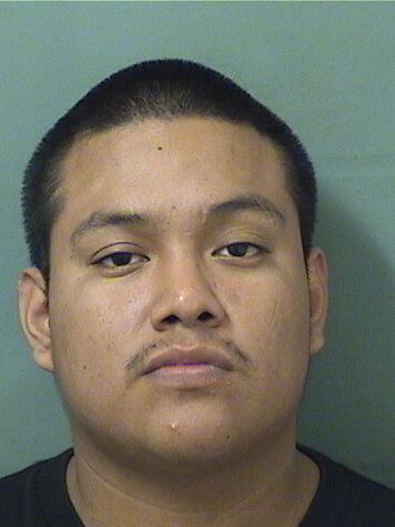  ANDRES FELIX Results from Palm Beach County Florida for  ANDRES FELIX