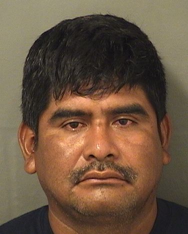  JAVIER G RAMIREZ Resultados de la busqueda para Palm Beach County Florida para  JAVIER G RAMIREZ