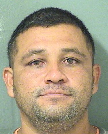 WILLIAM LADINOCHAPARRO Results from Palm Beach County Florida for WILLIAM LADINOCHAPARRO WILLIAM LADINOCHAPARRO Results from Palm Beach County Florida for WILLIAM LADINOCHAPARRO