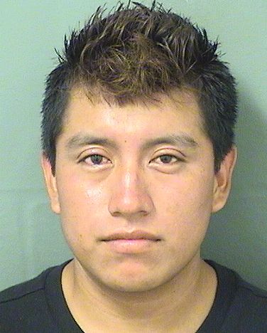  FERNANDO HERNANDEZLOPEZ Results from Palm Beach County Florida for  FERNANDO HERNANDEZLOPEZ