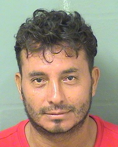  PABLO A MEJIA Results from Palm Beach County Florida for  PABLO A MEJIA