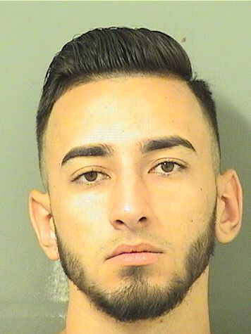  DIEGO JONATHAN HERNANDEZ Results from Palm Beach County Florida for  DIEGO JONATHAN HERNANDEZ