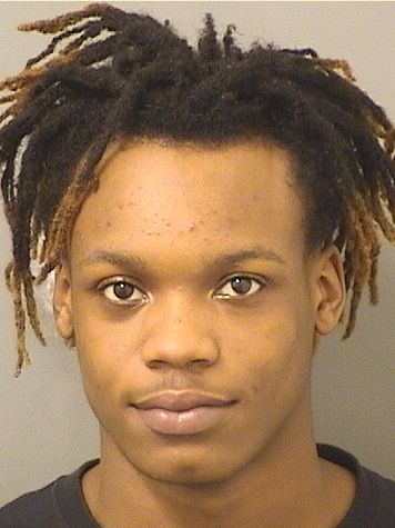  BRYAN SAMUEL KING Results from Palm Beach County Florida for  BRYAN SAMUEL KING